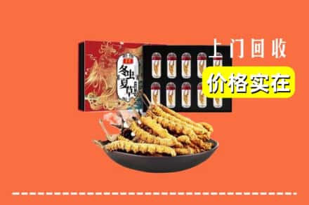 鹰潭余江区回收冬虫夏草