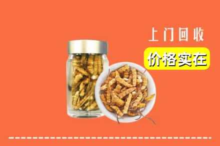 鹰潭余江区回收散虫草