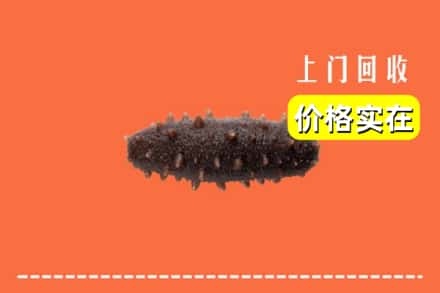 鹰潭余江区回收海参