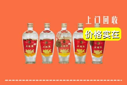 鹰潭余江区回收老五粮液